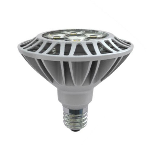 PAR38 LED 20W